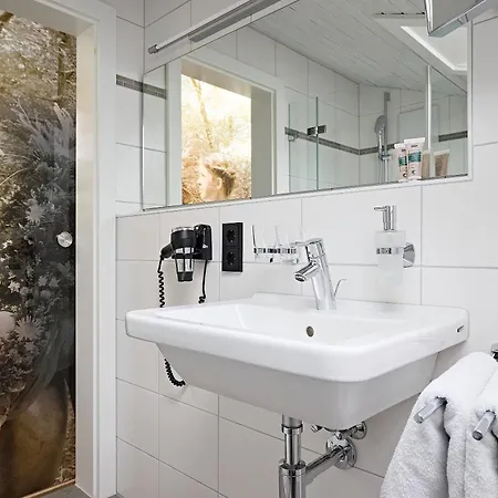 Pensjonat Gaestehaus Sinz 4*